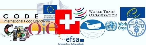 Logos von internationalen Institutionen
