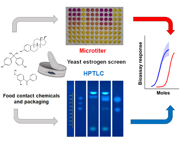 Microtiter Grafik