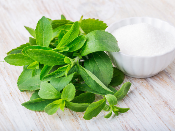 Blätter und Süssstoff von Stevia