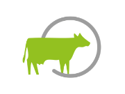 Logo Netzwerk Rindergesundheit