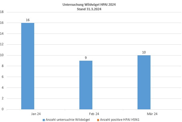 Grafik: Untersuchung Wildvögel HPAI 2024, Stand: 31.03.2024