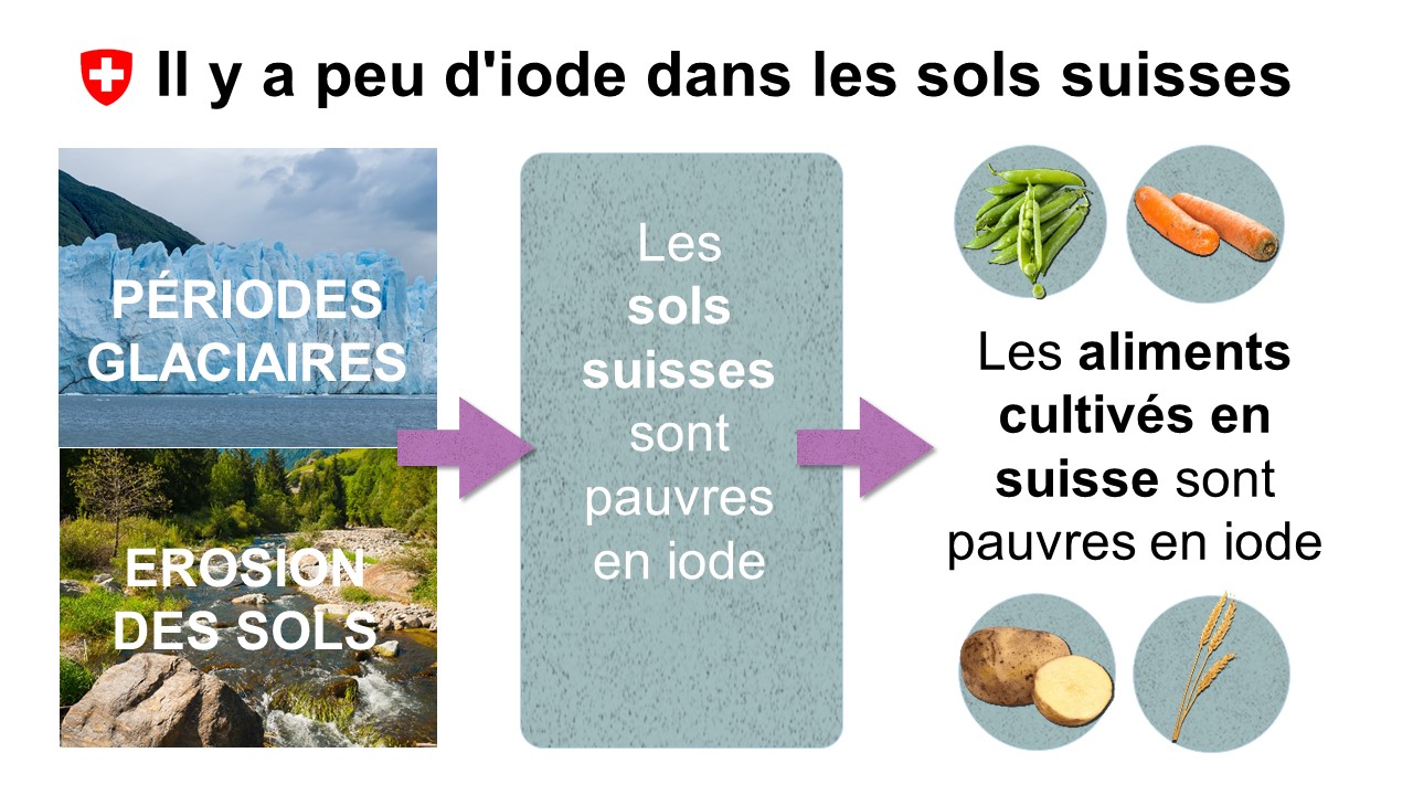 Les périodes glaciaires et l’érosion ont rendus les sols suisses pauvres en iode. Les aliments cultivés dans le pays sont ainsi pauvres en iode.