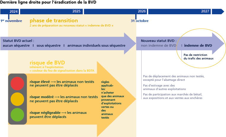 Dernière ligne droite pour l’éradication de la BVD – plan de route