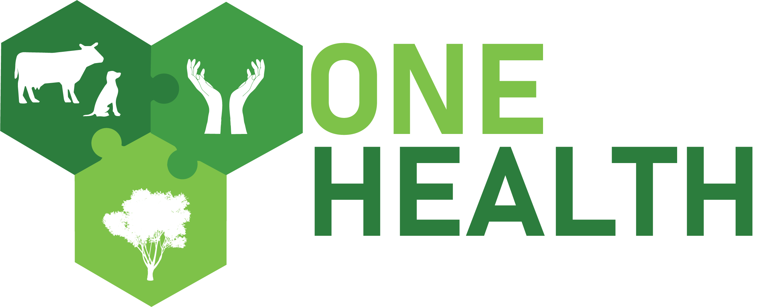 Logo One Health grün
