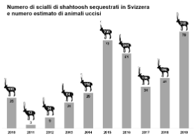 Numero di scialli di shahtoosh sequestrati in Svizzera e numero estimato di animali uccisi