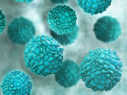 Eingefärbtes rasterelektronisches Bild von Noroviren