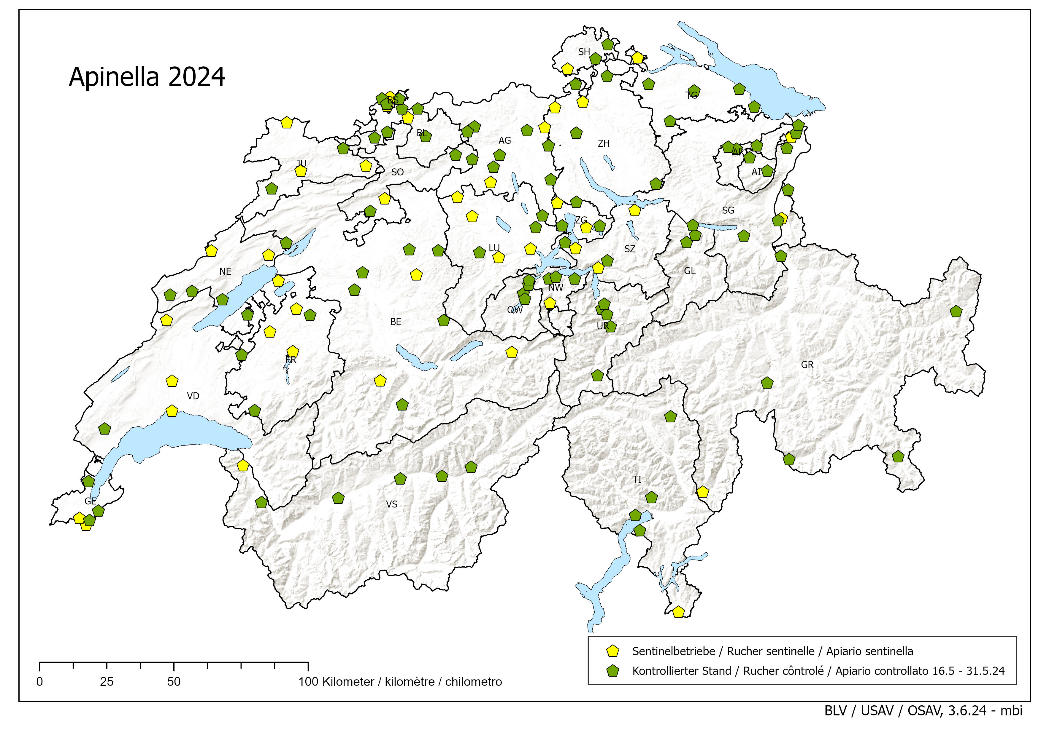 Apinella: 16 - 31 maggio 2024