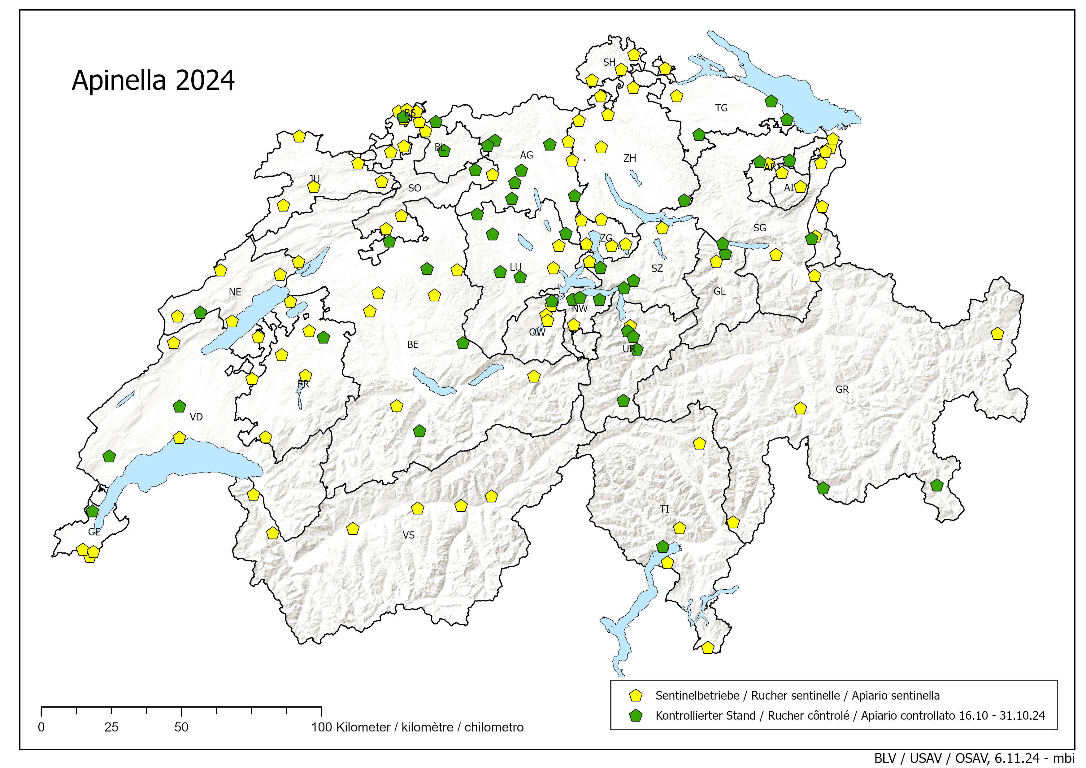 Apinella: 16 - 31 ottobre 2024