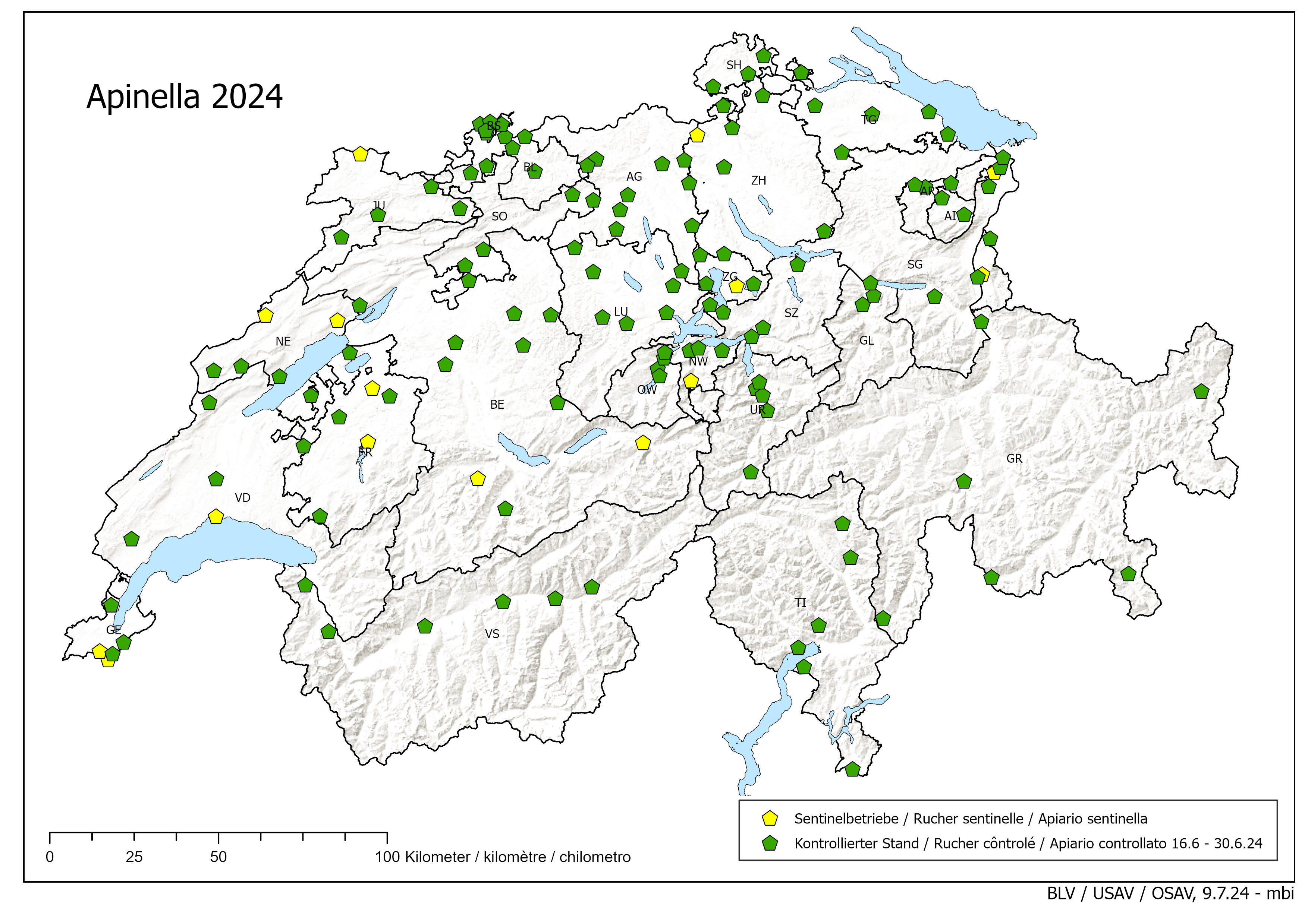 Apinella: 16 - 30 giugno 2024