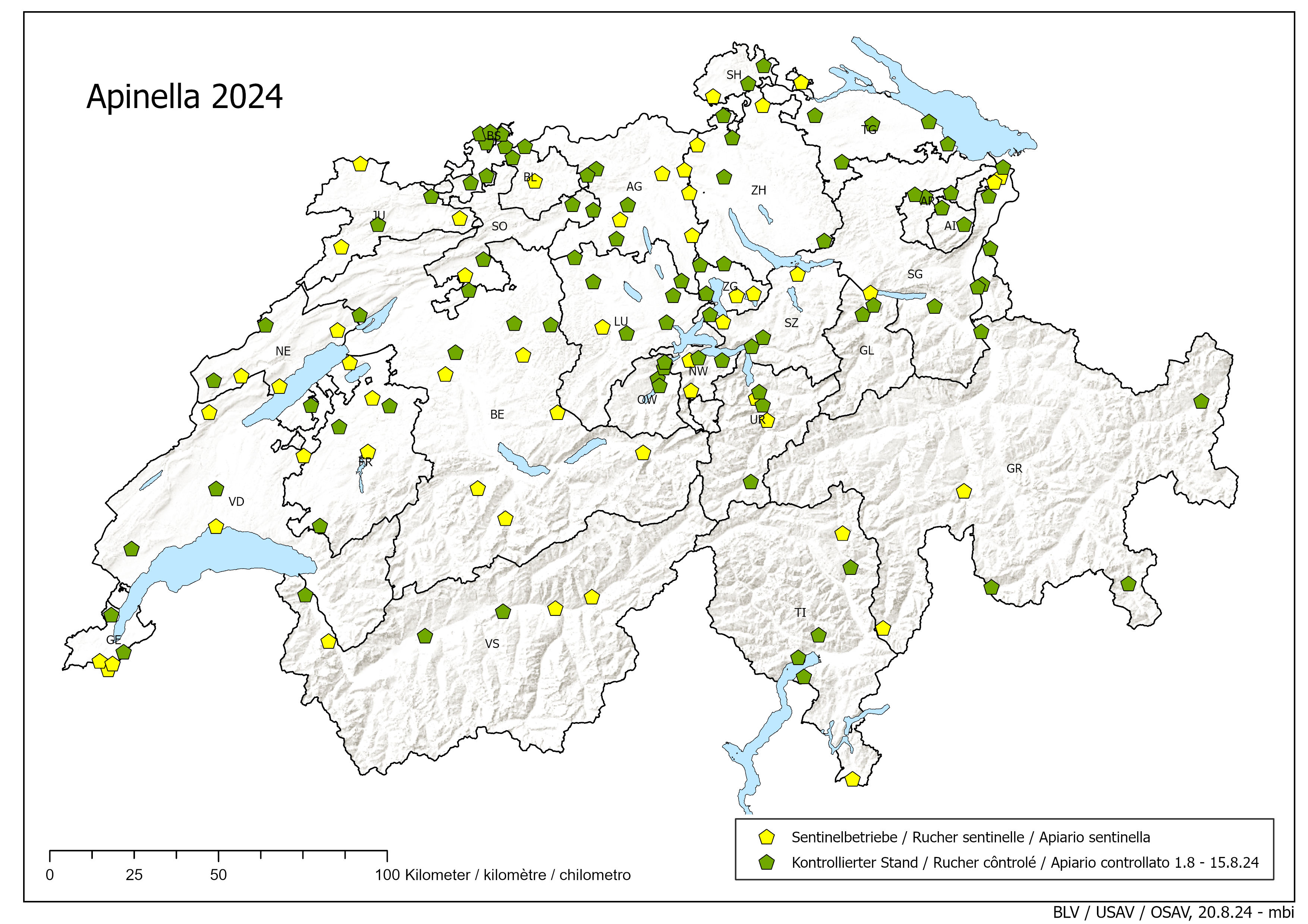 Apinella: 1 - 15 agosto 2024