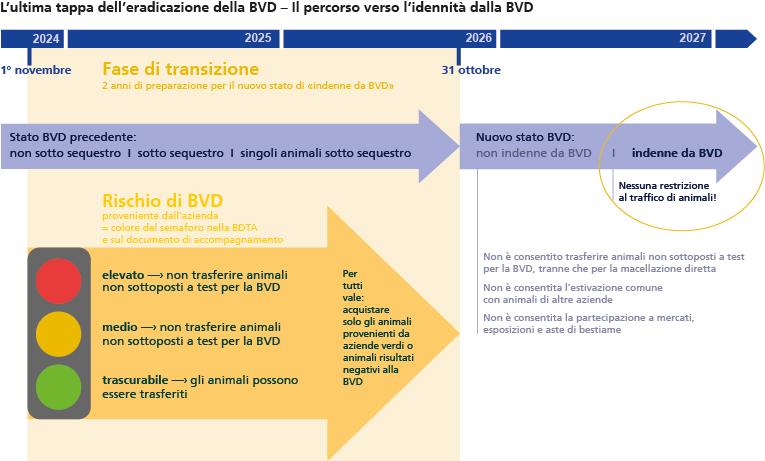 L’ultima tappa dell’eradicazione della BVD – Il percorso verso l’idennità dalla BVD